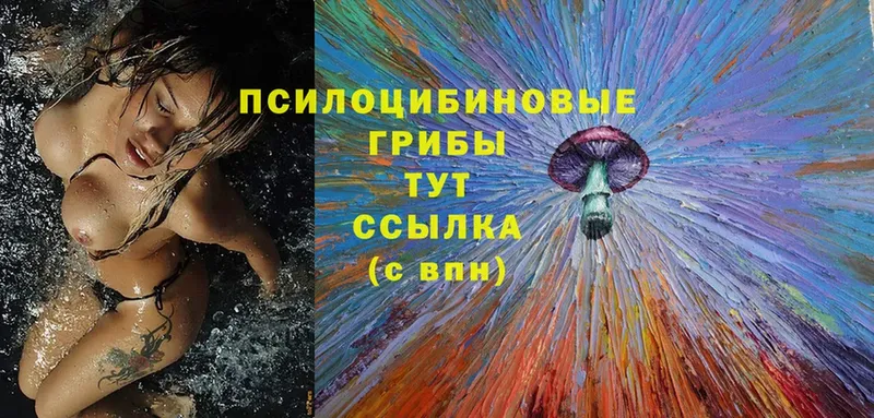 Галлюциногенные грибы MAGIC MUSHROOMS  МЕГА зеркало  Дегтярск 